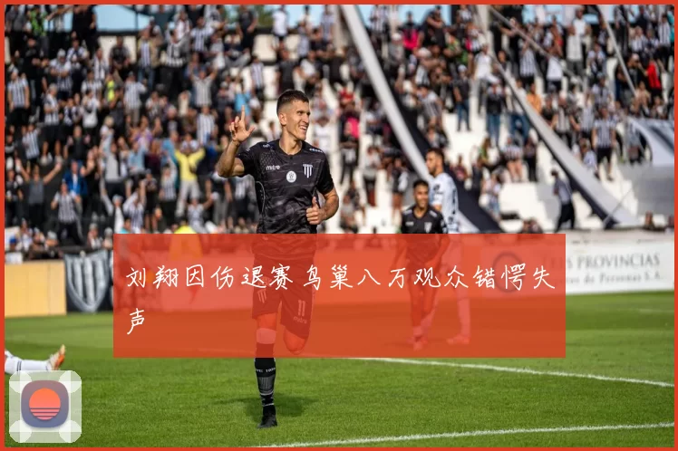 刘翔因伤退赛鸟巢八万观众错愕失声