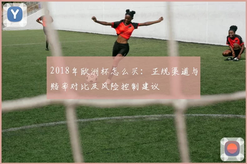 2018年欧洲杯怎么买：正规渠道与赔率对比及风险控制建议