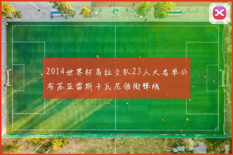 2014世界杯乌拉圭队23人大名单公布苏亚雷斯卡瓦尼领衔锋线