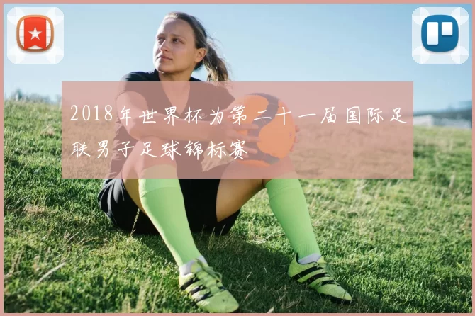 2018年世界杯为第二十一届国际足联男子足球锦标赛